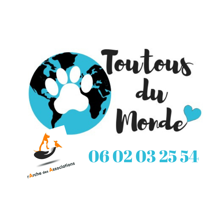 Toutous du Monde